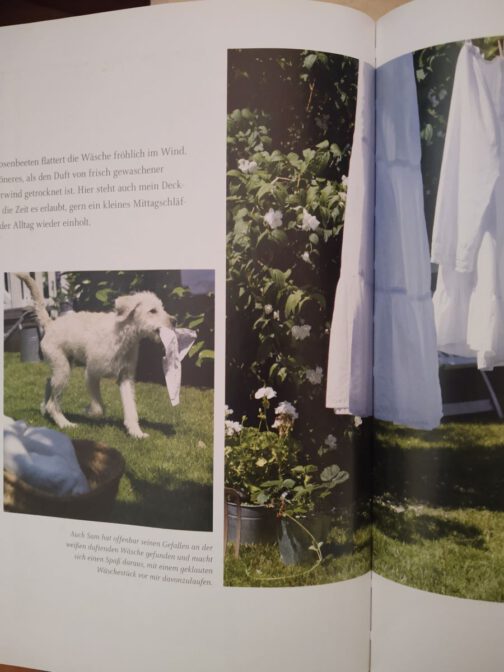Buch – Bild 3